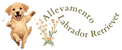 Miglior Allevamento Labrador Retriever - Home